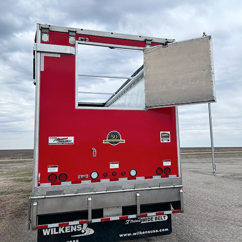 Custom Belt Short Box